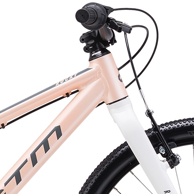 ctm-rocky-sl-matna-svetloruzova-d1